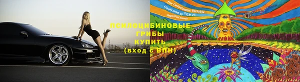 прущая мука Кукмор