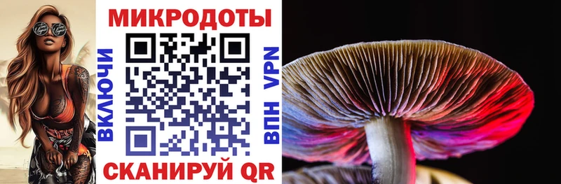 Псилоцибиновые грибы ЛСД  Томск 