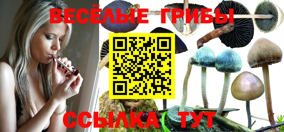 Томск  Галлюциногенные грибы MAGIC MUSHROOMS  Вход с VPN 